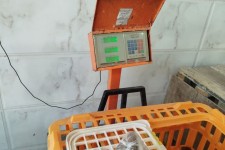 با متخلفان فروش مرغ زنده برخورد قاطع شد؛ ۴ واحد به دستگاه قضایی معرفی شدند