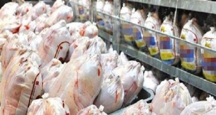 عرضه مرغ و تخم مرغ موجب کاهش قیمت پایین‌تر از نرخ مصوب شد