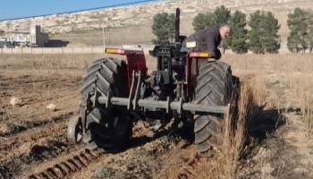 آغاز مرحله برداشت و آماده‌سازی نهال‌های ریشه‌لخت برای توزیع در استان کرمانشاه