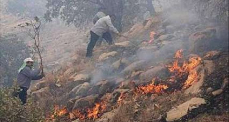 مهار27 مورد آتش سوزی  در مراتع و جنگل های شهرستان اسلام آبادغرب /نقش مهم نیروهای مقاومت بسیج مردمی در اطفاء حریق