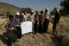 برگزاری اردوی جهادی در اسلام آبادغرب/ کمک به کشاورزان در برداشت محصول گندم+تصاویر