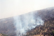 مهار آتش سوزی جنگل های حدفاصل اسلام آبادغرب- ایلام-گیلانغرب
