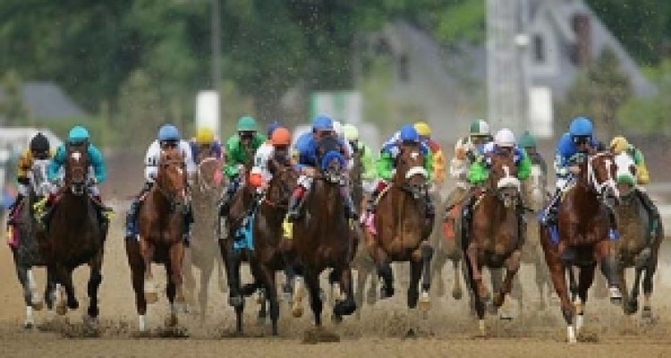 کورس پائیزه اسب دوانی در اسلام آبادغرب برگزار می شود