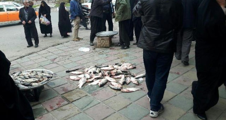 دستفروش خودش در واکنش به تذکر ماموران سد معبر ماهی ها را به زمین ریخته 