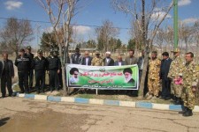 کاشت 8500 اصله نهال توسط نیروهای تیپ181 زرهی ارتش اسلام آبادغرب