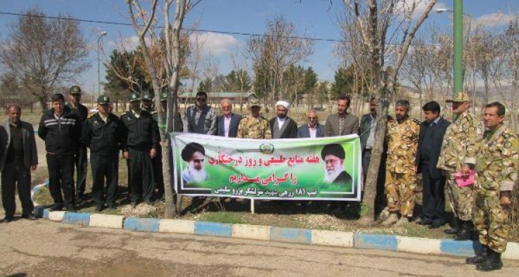 کاشت 8500 اصله نهال توسط نیروهای تیپ181 زرهی ارتش اسلام آبادغرب