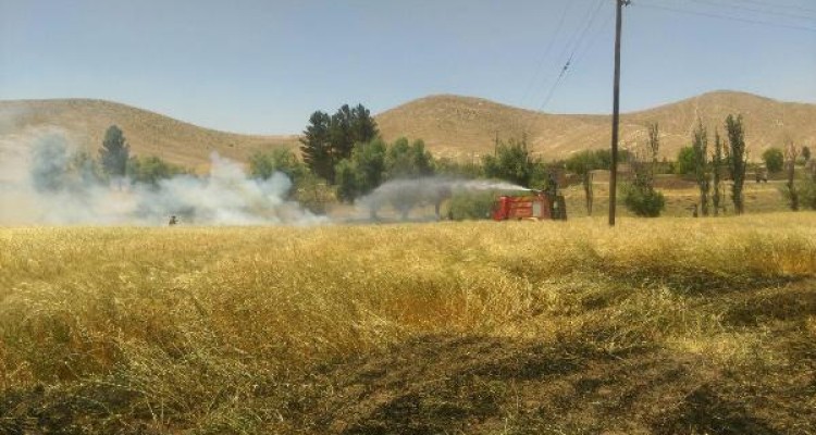 مهار آتش سوزی در گندمزارهای بخش حمیل/ حریق یک هکتار گندم و مرتع منطقه