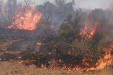 مهار سه باره آتش سوزی در ارتفاعات تنگه مرصاد اسلام آبادغرب/ سوختن 8 هکتار از مراتع و جنگل های منطقه+تصاویر