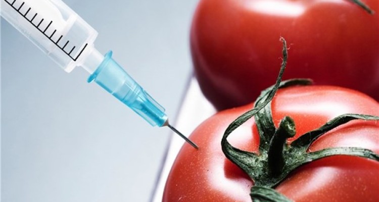 ممنوعیت کشت تراریخته در 38 کشور جهان/ تراریخته‌ها و تنگناها زیست‌محیطی و پزشکی+ جدول و نمودار