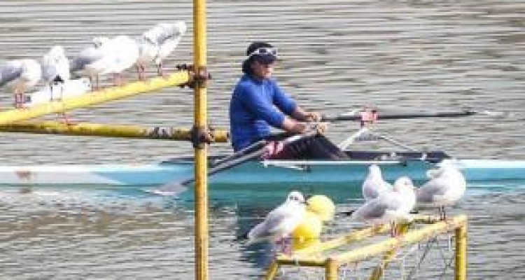 بانوی قایقران کرمانشاهی سهمیه المپیک جوانان را کسب کرد