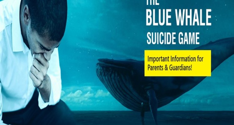 تلف شدن نهنگ ها پشت ساحل گوشی های هوشمند/ علت نامگذاری نهنگ آبی را بدانید!