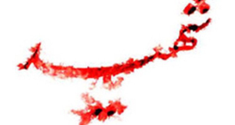 پیکر سه شهید کشتی سانچی وارد ایران شد + فیلم 