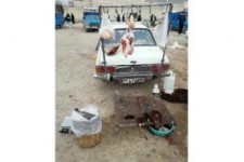 برخورد با کشتار غیرمجاز دام در بازارهای سطح شهر کرمانشاه