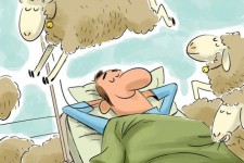  اینم بیمارستانی پر از گوسفند! 