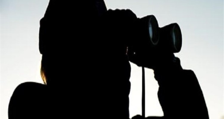 کاوه مدنی معاون یا معاند؟ + سند