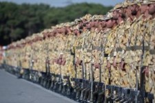 اجرای مرخصی‌ها و معافیت‌های سربازان نقاط زلزله‌زده غرب کشور