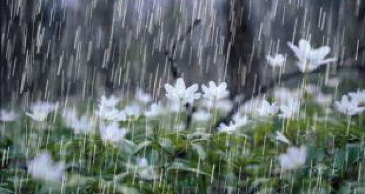 ۳۷۲.۴میلیمتر بارش طی سال زارعی جاری دراستان کرمانشاه/کاهش ۴درصدی