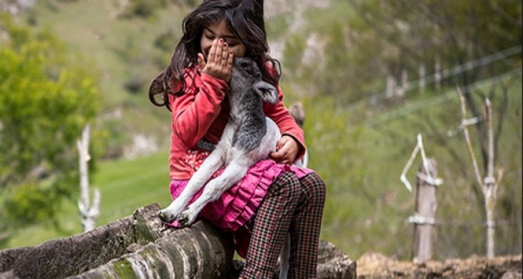 گیلانده از روستاهای ییلاقی استان گیلان در ۶۰ کیلومتری شهرستان تالش است. راه مواصلاتی این روستا تا جاده مسیر ۲ساعته مال‌رو است.