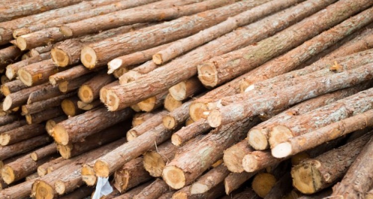 کشف 2 تن چوب جنگلي قاچاق در دالاهو