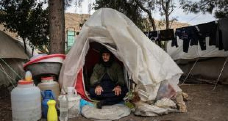 احتمال اپیدمی «سالک» در مناطق زلزله زده کرمانشاه