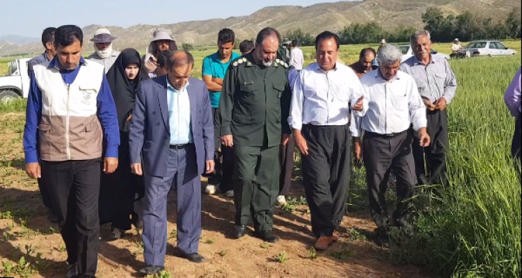 بازدید فرمانده سپاه اسلام آبادغرب از طرح بسیج همگام با کشاورز در شهرستان +تصاویر 
