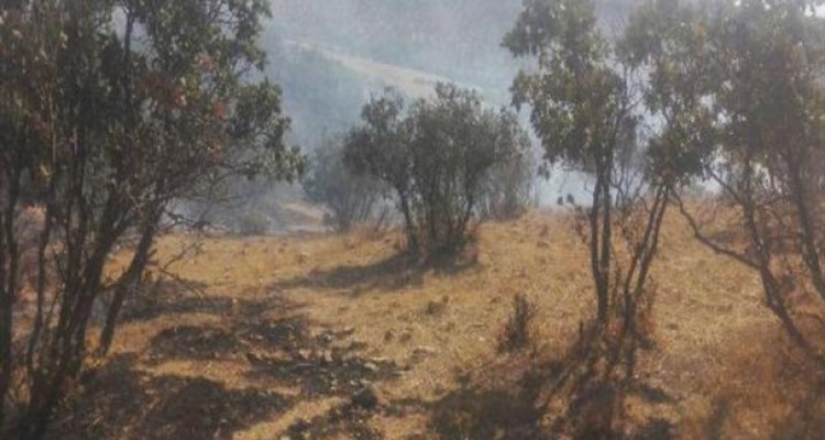 مهار آتش سوزی در مراتع و جنگل های شمالی اسلام آبادغرب/سوختن بیش از 10 هکتار از مراتع وپسچر روستای سوران