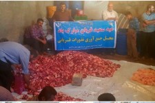 توزیع گوشت قربانی به ارزش بیش از 2میلیارد ریال در میان ایتام و نیازمندان گهواره و دالاهو