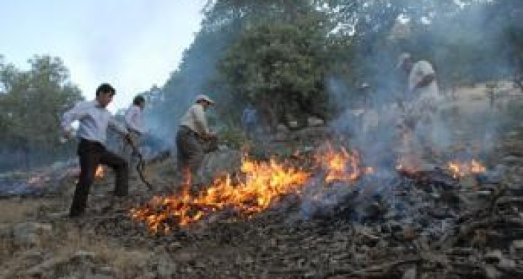 غوغای «آتش» در قلب زاگرس / دریغ از یک «بالگرد» اطفای حریق 