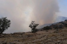 مهار آتش سوزی در مراتع و جنگل های حد فاصل اسلام آبادغرب و استان ایلام/ بیش از 100هکتار از مراتع جنگلی در آتش سوخت+تصاویر