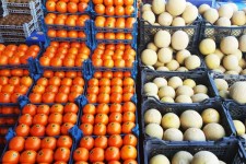 ظرفیت بالقوه محصولات باغات در ایران/ چرا میوه ایرانی برای صادرات تولید نمی‌شود؟ 