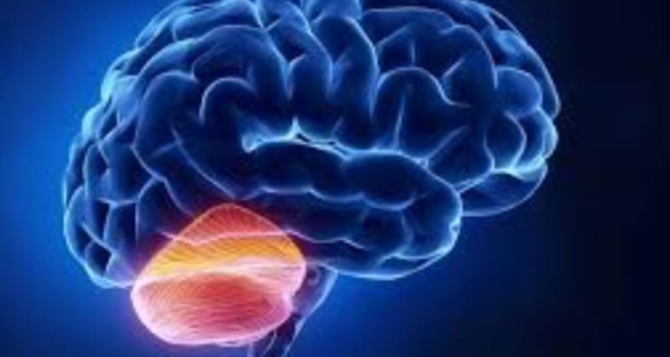 عارضه‌ای بی‌نام و نشان که اعصاب بدن را نشانه می‌گیرد 