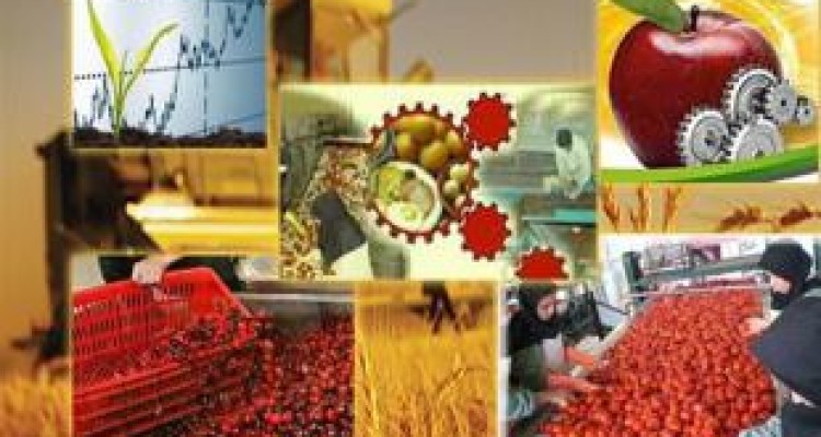 احداث ۱۱ واحد صنایع تبدیلی و تکمیلی بخش کشاورزی در کرمانشاه