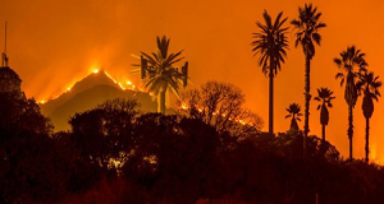 مفقودان آتش‌سوزی مرگبار کالیفرنیا به ۲۲۸ تن رسید 