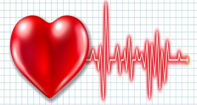 بیماری که به سادگی جانتان را می‌گیرد/ کرونری قلب (CHD) چیست؟ 