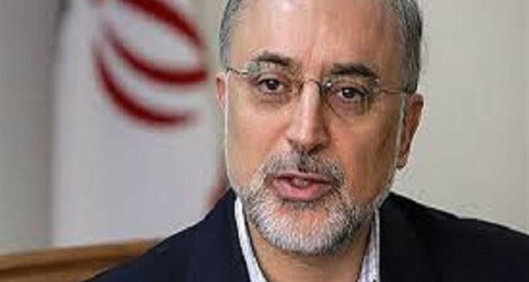 صالحی: نظام اراده کند غنی‌سازی 20 درصد را در فردو از سر می‌گیریم