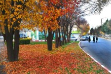 پاییز دل انگیز در شهرستان اسلام آبادغرب به روایت تصویر