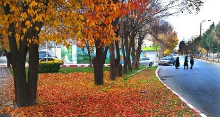 پاییز دل انگیز در شهرستان اسلام آبادغرب به روایت تصویر