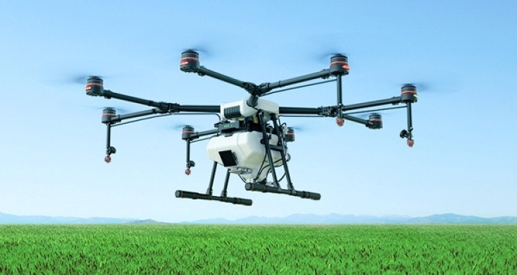 سم پاشی مزارع کلزا در شهرستان اسلام آباد غرب توسط پهپادهای سم پاش برای اولین بار