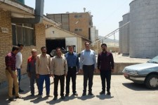 فعالیت 5 مرکز خرید گندم درشهرستان اسلام آبادغرب/هدف اصلی رضایت کشاورزان است