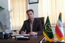 برداشت بیش از 30هزار تن سیب زمینی و ذرت علوفه ای در اسلام آبادغرب