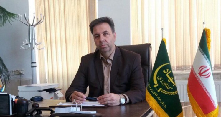 خسارت ۷ میلیارد تومانی تگرگ به زیر بخش کشاورزی شهرستان اسلام آبادغرب