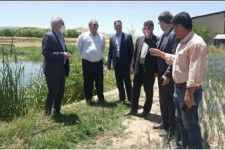 پیگیری ساماندهی آب سراب گاوروانی حمیل