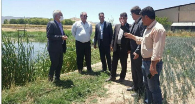 پیگیری ساماندهی آب سراب گاوروانی حمیل