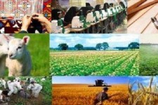 پرداخت ۳میلیارد و ۶۷۵میلیون تومان تسهیلات خوداشتغالی در اسلام آبادغرب