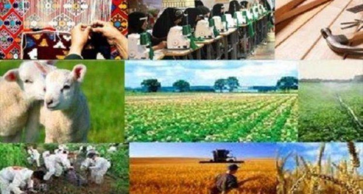 پرداخت ۳میلیارد و ۶۷۵میلیون تومان تسهیلات خوداشتغالی در اسلام آبادغرب