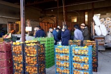 گشت مشترک بازرسی طرح تنظیم بازار در اسلام آبادغرب+تصاویر 