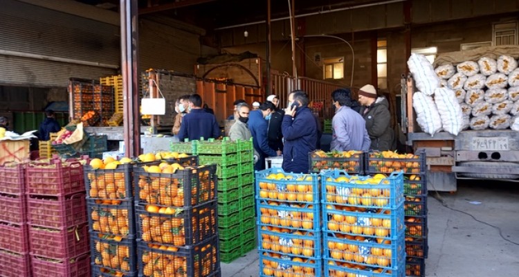 گشت مشترک بازرسی طرح تنظیم بازار در اسلام آبادغرب+تصاویر 