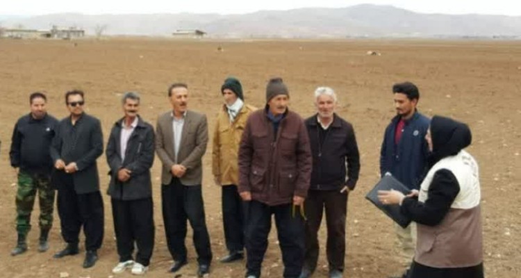 ترویج کشت قراردادی توسط بسیج مهندسین کشاورزی اسلام آبادغرب