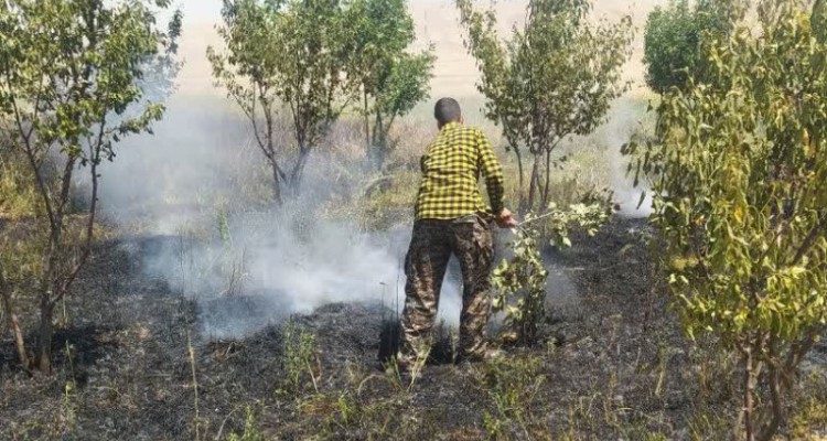 مهار آتش‌سوزی باغ میوه در بخش حمیل+عکس