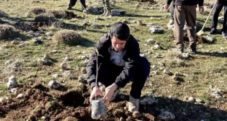 آغاز پویش مردمی کاشت نهال در اسلام‌آبادغرب